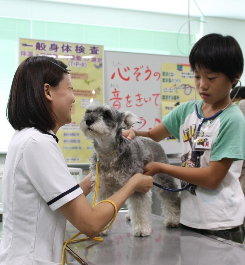 ヤマザキ学園大学の学生が8月18日に、小学生を対象に「子ども体験塾」を開催――小学生が動物看護師の仕事を体験 大学プレスセンター