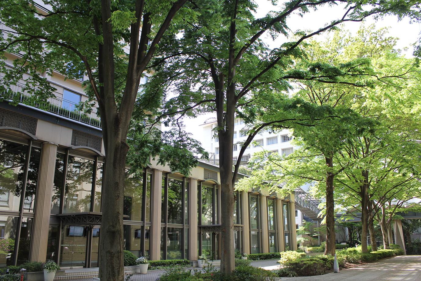 武蔵大学 小規模だが評価できる大学 で全国2位に 全国684進学校の進路指導教諭から高い評価を獲得 大学プレスセンター