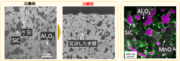 yy.png