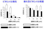 ビタミンCによるがん転移の抑制メカニズムに新発見 還元型と酸化型で生理作用に違い　東京工科大学応用生物学部