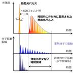 光パルスの整形技術で非染色分子イメージングの検出濃度限界を打破～生体中に埋もれた低濃度の薬剤が検出可能に～ 東京農工大学