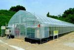 「なら近大農法」で栽培したミニトマトを初出荷　奈良県との連携事業「農の入口」モデル事業の一環として