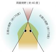 image2.jpeg