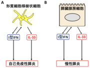 膵臓.png