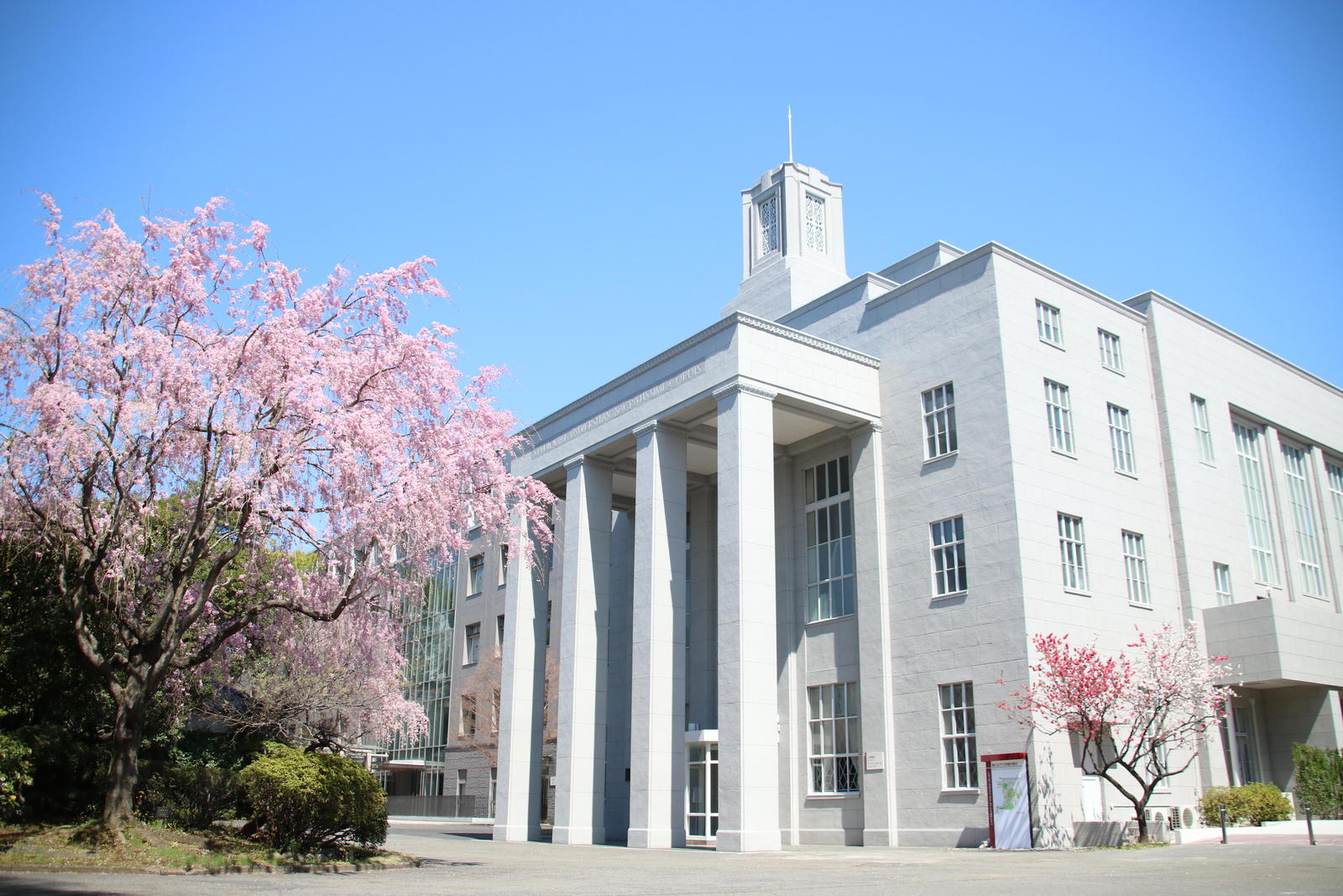 聖心 女子 大学 落ち た