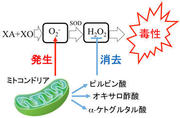 図１.jpg