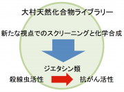 図１.png