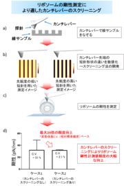 図　研究内容と成果の概略図.png