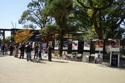 DSC01012.JPG