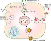 図１.jpg