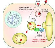 図２.jpg