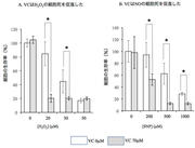 図2：生理的濃度のVCは細胞死を促進.jpg