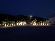IMG_1265.jpeg