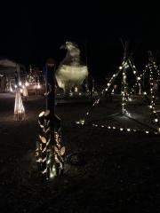 IMG_1286.jpeg