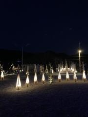 IMG_1274.jpeg