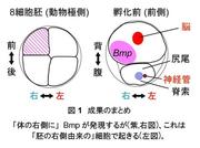 0220大阪大1.jpg