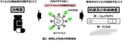 図2 取得した抗体の利用用途.png