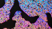 vlcsnap-error047.png