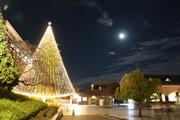 京田辺ツリー.jpg