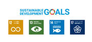 SDGsへの貢献.jpg
