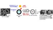 （田中修正）応用化学科　藤井　プレスリリース図.jpg