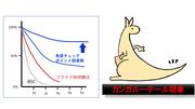 カンガルーテールの図.jpg