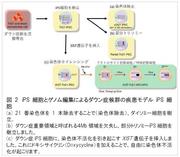 大阪大iPS2.jpg