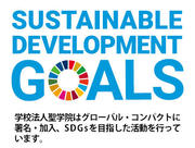sdgs_goals_seig.jpg