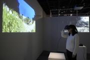 トンボの色覚を VR で体験する様子.JPG