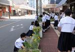 【樟蔭中学校】コロナ禍だからこそ笑顔と元気を届けたい！中学生が育てた花が、地域の図書館や商店街に並ぶ