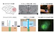 図1.jpg