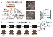 プレスリリース_図1-4_ページ_1.jpg