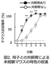 図２.jpg