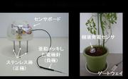 樹液発電を利用した植物モニタリングセンサ.jpg