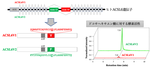 薬学研究科大学院生らの研究論文が日本薬学会学術雑誌のHighlighted Paper selected by Editor-in-Chiefに選定