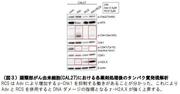 図3.JPG