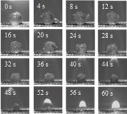 図2．エタノールを含有した高分子ゲルの燃焼の様子.png