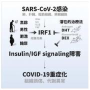 大阪大学0628画像.jpg