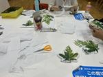 桑の日（9月8日）に創価大学文学部生が地域イベントを開催 -- 桑都八王子に桑の葉の食文化を広め健康と八王子の大地を守る