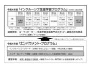 図　令和4年度インクルーシブ・プログラム開発事業の概要.png