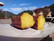 「高専紅はるか」の焼き芋.JPG