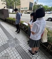 道路.jpg