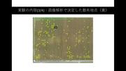 資料５.jpg