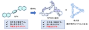 図2_NPNを環状に繋ぎ幾何学的にキラル構造を組み上げる様子.png