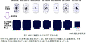 写真②.PNG
