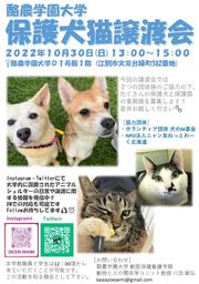 20221030 保護犬猫譲渡会ポスター.jpg