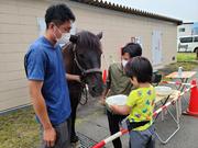 ウマとのふれあい（本学うまセンター協力）.jpg