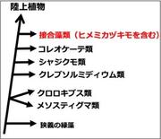 図2.jpg