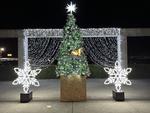 関西福祉大学 学友会によるクリスマスツリー点灯式及び工作教室を開催！