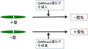 図3.jpg